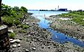 Bronx Kill low east at low tide jeh