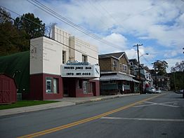 Callicoon Theater