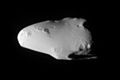 Calypso N1644755236 1