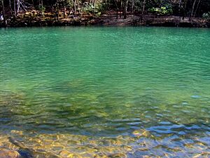 Caney-fork-river-scotts-gulf