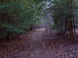 Caney-fork-trail-tennessee