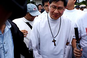Cardinal Tagle at Luneta 2013 1