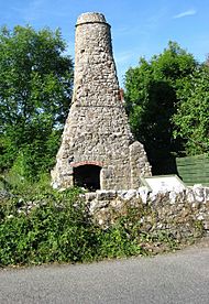 Carew Chimney ("Flemish chimney") - geograph.org.uk - 870902
