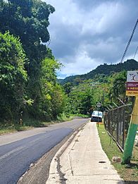 Carretera PR-776, Comerío, Puerto Rico