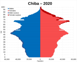 Chiba prefecture population pyramid in 2020
