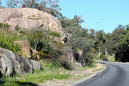 Chippers Leap from west
