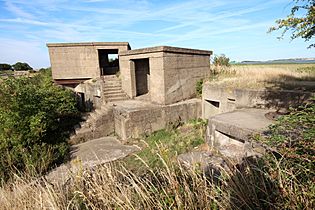 View of a partly overgrown concrete structure built on two levels, with two small concrete cabins above a concreted pit in which several alcoves are visible