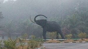 Cross River National Park, Oban Division