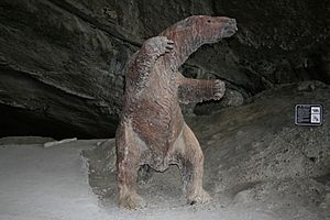 Cueva del Milodón, Puerto Natales, Chile2