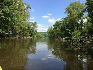 Dart Island SP Cove 1197.2015-05-17 182416
