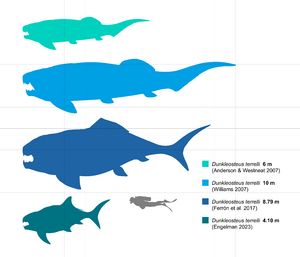 Dunkleosteus terrelli size