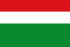 Flag of Paratebueno