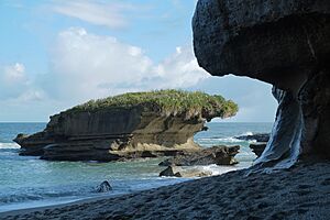 Flax-covered rock stack off beach at the end of Truman Track near Punakaiki