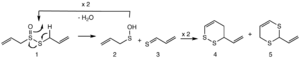 Formation of vinyldithiins from allicin