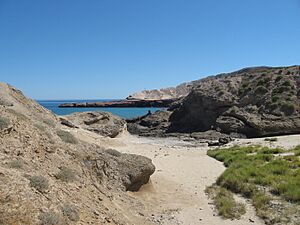 Golfo de California, Baja California Sur (21095853975)