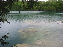 Photograph of the shore of a lake; a forested cliff is visible across the lake.