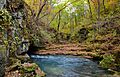 Greer Spring-Oct2013-067