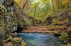Greer Spring-Oct2013-067