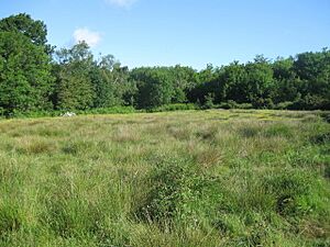 Hazleton Common Local Nature Reserve (geograph 2448537)