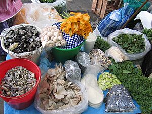 Huitlacoche, quintoniles, huauhzontles, flor de calabaza et al., Santa Maria la Ribera Market