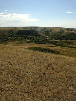Image of the buffalo jump at Ancient Echoes Interpretive Centre in 2017