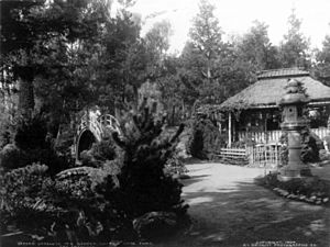 Japanese Tea Garden, San Francisco 1904 cph.3b13301