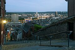 Liège, vue de Montagne de Bueren IMG 9585 2019-05-31 22.10