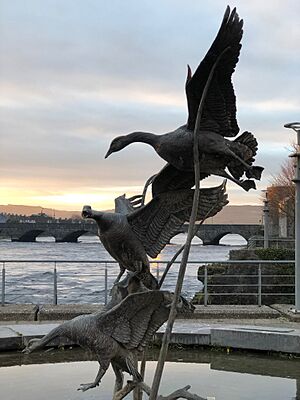 Limerick statues - Geese
