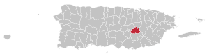 Map of Puerto Rico highlighting Cidra Municipality