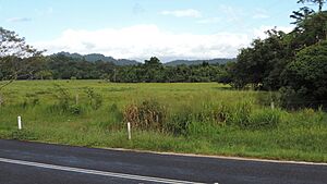Looking west across fields from Bramston Beach Road, Bramston Beach, 2018