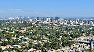 Los Angeles Skyline 08-2024