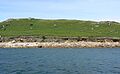 Low cliffs on St Helen's, Isles of Scilly - geograph.org.uk - 1618460