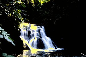 Lower Waterfall on Beardslee River Alaska 1966