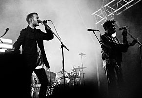 Massive Attack, Saint-Petersburg, 2010-09-26 (cropped).jpg