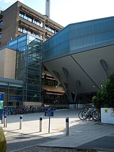 Medical faculty, Newcastle University, 5 September 2013 (4)
