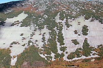 Montes de Toledo