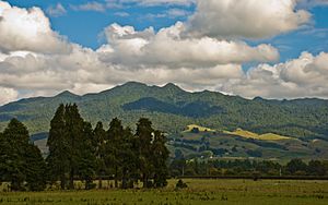 Mount Pirongia.jpg