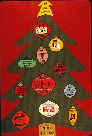 NBRF Projects and Publications Christmas Tree
