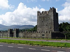Narrow Water Tower - geograph.org.uk - 494487