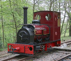 No.3 ‘Lady Joan’ Hunslet 1922 0-4-0 saddle tank at Bredgar & Wormshill Railway Easter Open Day 2017 - 33922437582