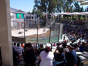 People watching a show at Six Flags in Vallejo, California