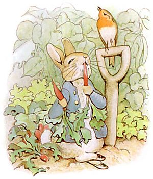 PeterRabbit8.jpg