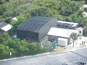 Ponce Inlet FL Marine Science Center02