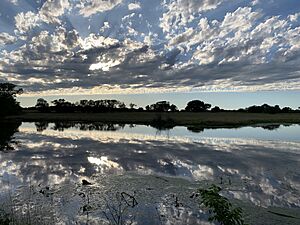 Pond in Kansas