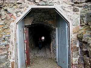 Ptarmigan tunnel