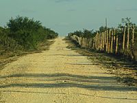 Ranch road, Webb County, TX IMG 6080
