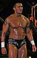 Randy Orton One Night Stand 2007