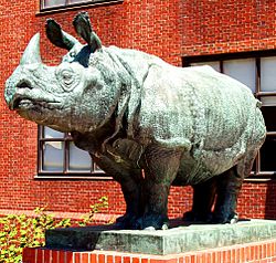 Rhinoceros Sculpture, Biological Sciences Building, Harvard University, Cambridge, Massachusetts