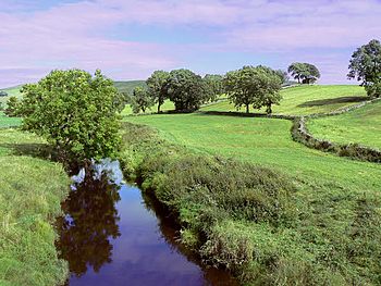 A narrow beck with green fields either side