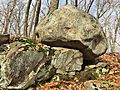 Rock With Fish Features in West Hartford Reservoir